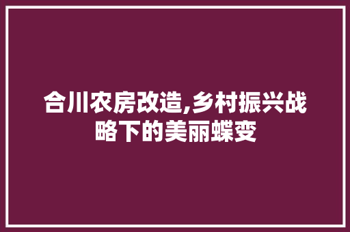 合川农房改造,乡村振兴战略下的美丽蝶变