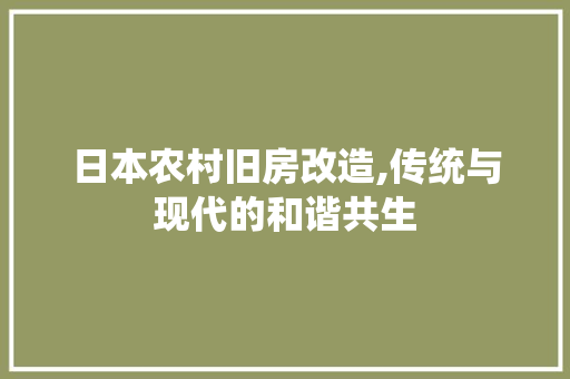 日本农村旧房改造,传统与现代的和谐共生