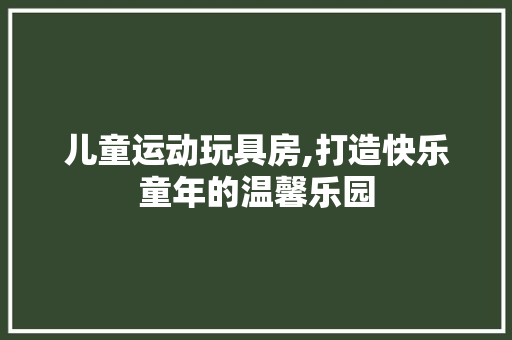 儿童运动玩具房,打造快乐童年的温馨乐园