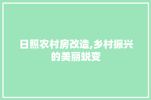 日照农村房改造,乡村振兴的美丽蜕变