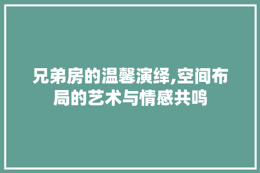 兄弟房的温馨演绎,空间布局的艺术与情感共鸣
