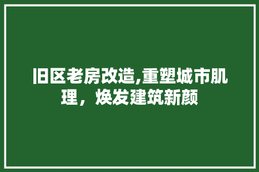 旧区老房改造,重塑城市肌理，焕发建筑新颜
