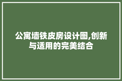 公寓墙铁皮房设计图,创新与适用的完美结合