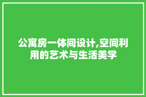 公寓房一体间设计,空间利用的艺术与生活美学