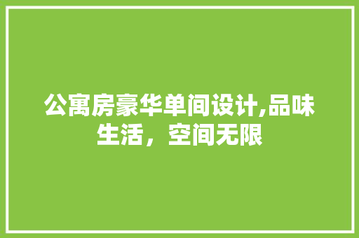 公寓房豪华单间设计,品味生活，空间无限