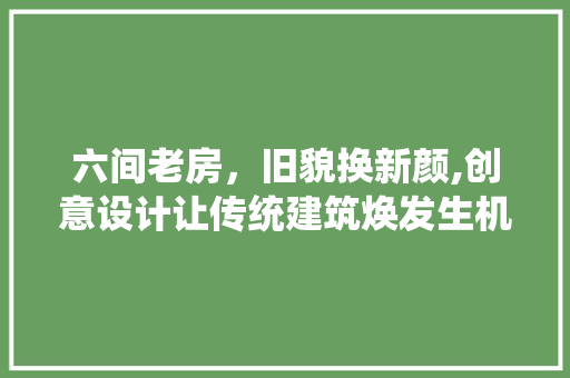 六间老房，旧貌换新颜,创意设计让传统建筑焕发生机