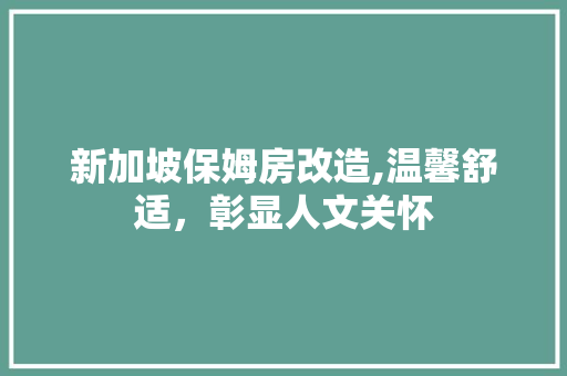 新加坡保姆房改造,温馨舒适，彰显人文关怀