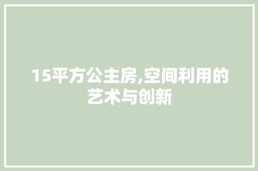 15平方公主房,空间利用的艺术与创新