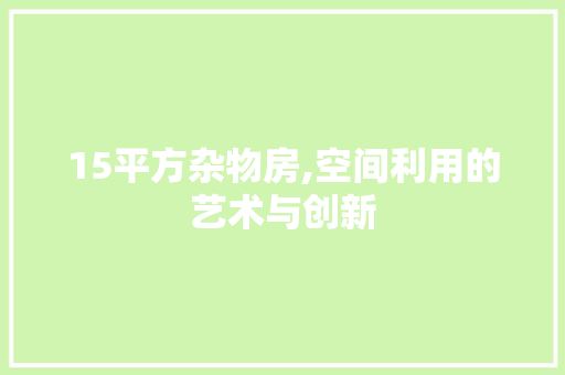 15平方杂物房,空间利用的艺术与创新