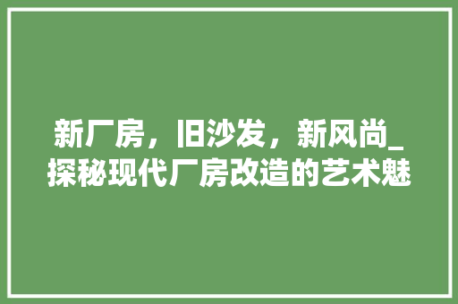 新厂房，旧沙发，新风尚_探秘现代厂房改造的艺术魅力