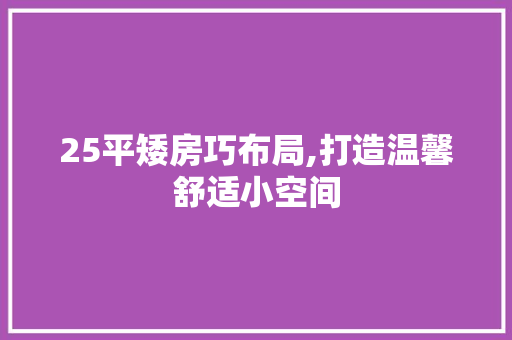 25平矮房巧布局,打造温馨舒适小空间