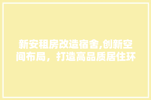新安租房改造宿舍,创新空间布局，打造高品质居住环境