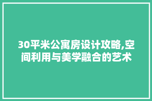 30平米公寓房设计攻略,空间利用与美学融合的艺术