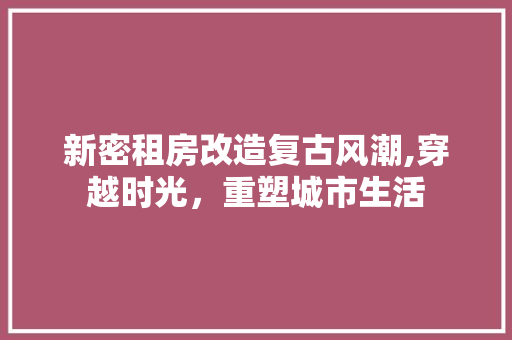新密租房改造复古风潮,穿越时光，重塑城市生活