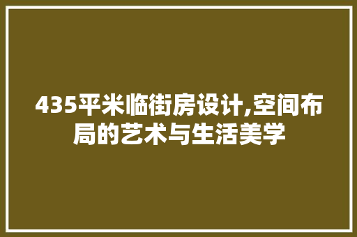 435平米临街房设计,空间布局的艺术与生活美学