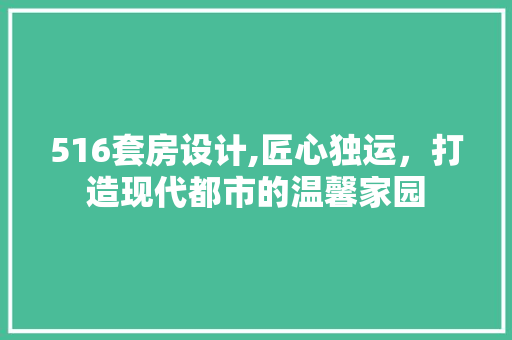 516套房设计,匠心独运，打造现代都市的温馨家园