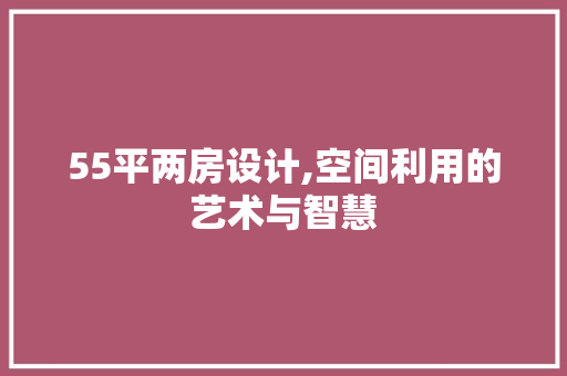55平两房设计,空间利用的艺术与智慧