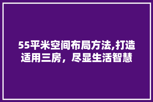 55平米空间布局方法,打造适用三房，尽显生活智慧