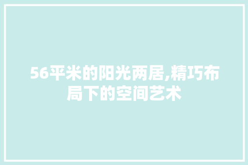 56平米的阳光两居,精巧布局下的空间艺术