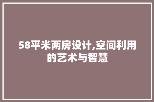58平米两房设计,空间利用的艺术与智慧
