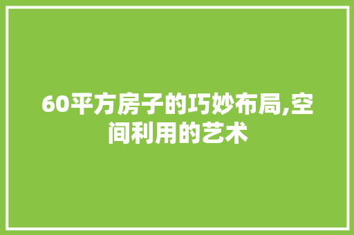 60平方房子的巧妙布局,空间利用的艺术