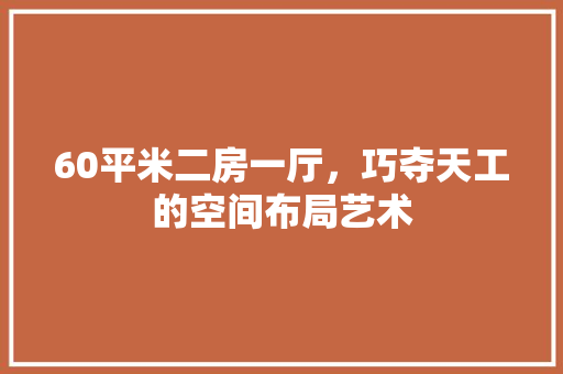 60平米二房一厅，巧夺天工的空间布局艺术