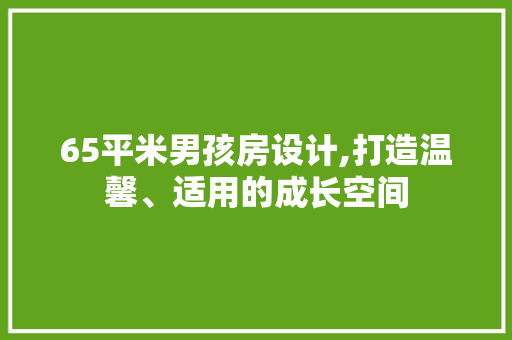 65平米男孩房设计,打造温馨、适用的成长空间