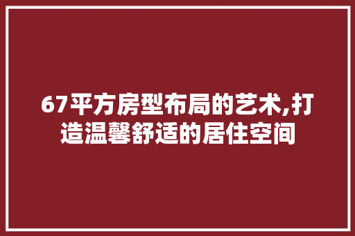 67平方房型布局的艺术,打造温馨舒适的居住空间
