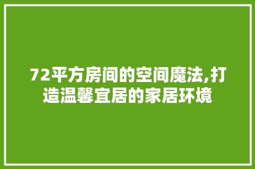 72平方房间的空间魔法,打造温馨宜居的家居环境