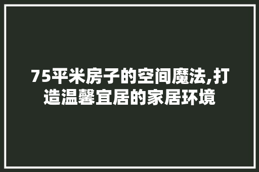 75平米房子的空间魔法,打造温馨宜居的家居环境