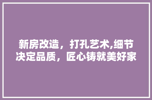 新房改造，打孔艺术,细节决定品质，匠心铸就美好家居