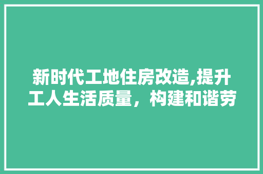 新时代工地住房改造,提升工人生活质量，构建和谐劳动关系