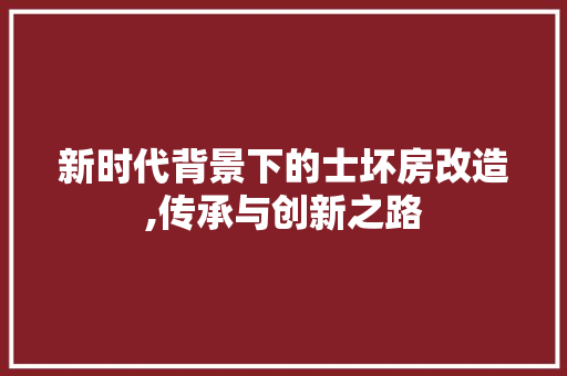 新时代背景下的士坏房改造,传承与创新之路