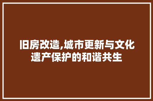 旧房改造,城市更新与文化遗产保护的和谐共生
