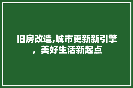 旧房改造,城市更新新引擎，美好生活新起点
