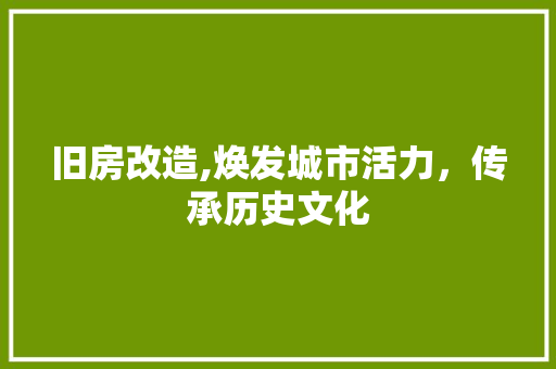 旧房改造,焕发城市活力，传承历史文化