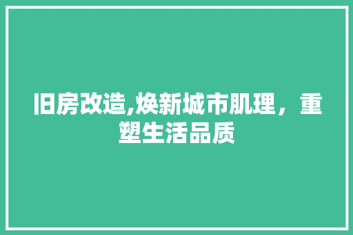 旧房改造,焕新城市肌理，重塑生活品质