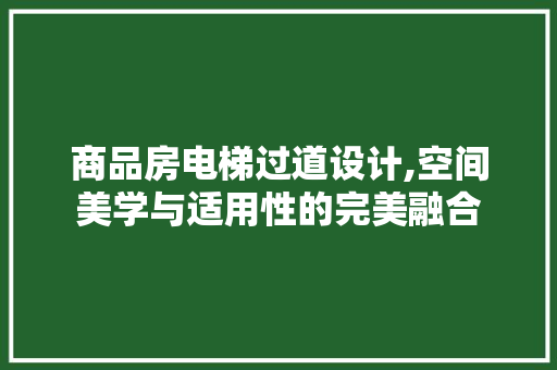 商品房电梯过道设计,空间美学与适用性的完美融合