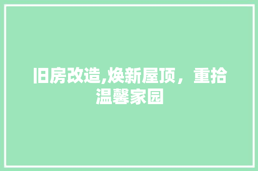 旧房改造,焕新屋顶，重拾温馨家园