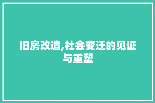 旧房改造,社会变迁的见证与重塑