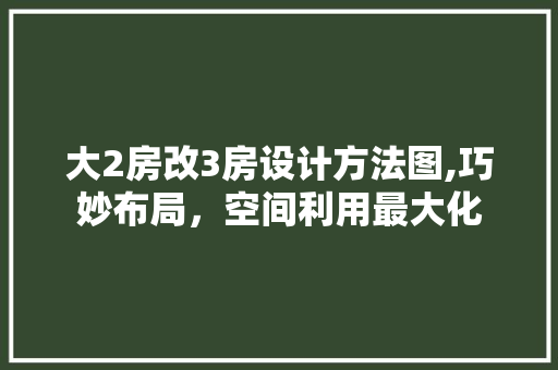 大2房改3房设计方法图,巧妙布局，空间利用最大化