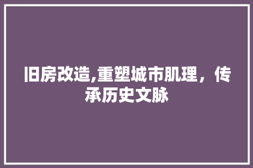 旧房改造,重塑城市肌理，传承历史文脉