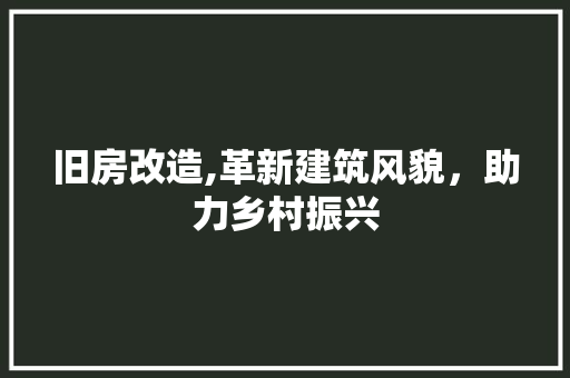 旧房改造,革新建筑风貌，助力乡村振兴