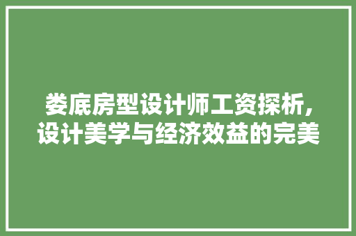 娄底房型设计师工资探析,设计美学与经济效益的完美融合
