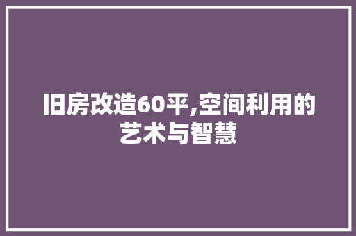 旧房改造60平,空间利用的艺术与智慧
