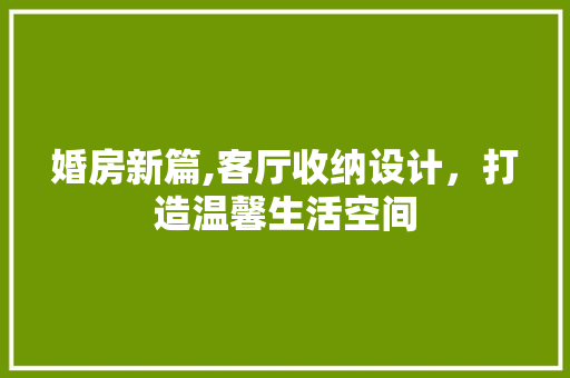 婚房新篇,客厅收纳设计，打造温馨生活空间