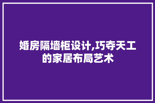 婚房隔墙柜设计,巧夺天工的家居布局艺术
