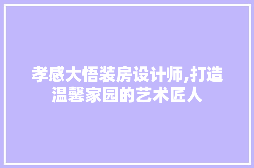 孝感大悟装房设计师,打造温馨家园的艺术匠人