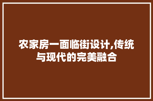 农家房一面临街设计,传统与现代的完美融合