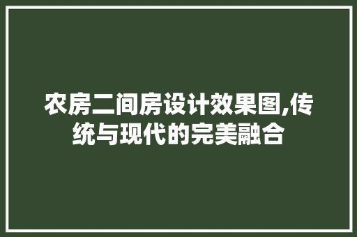 农房二间房设计效果图,传统与现代的完美融合